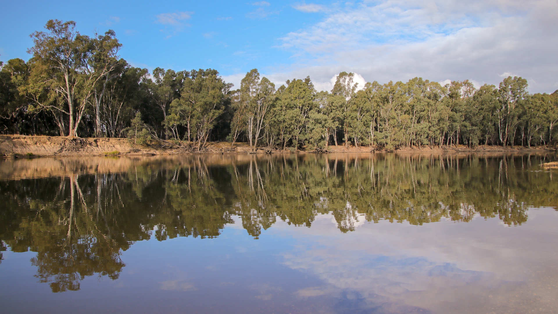 Forges Bend, Murray River © Kelly Coleman