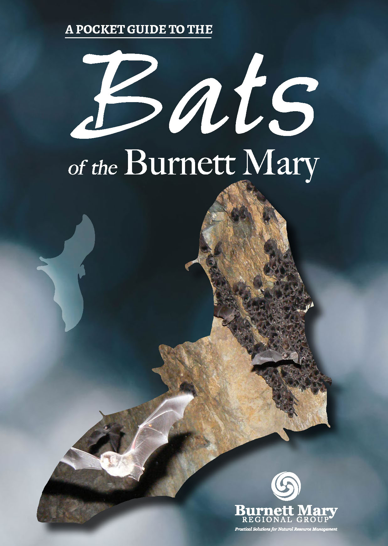 Pocket Guide to Bats of the Burnett Mary Cover