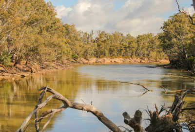 Murray River © Kelly Coleman