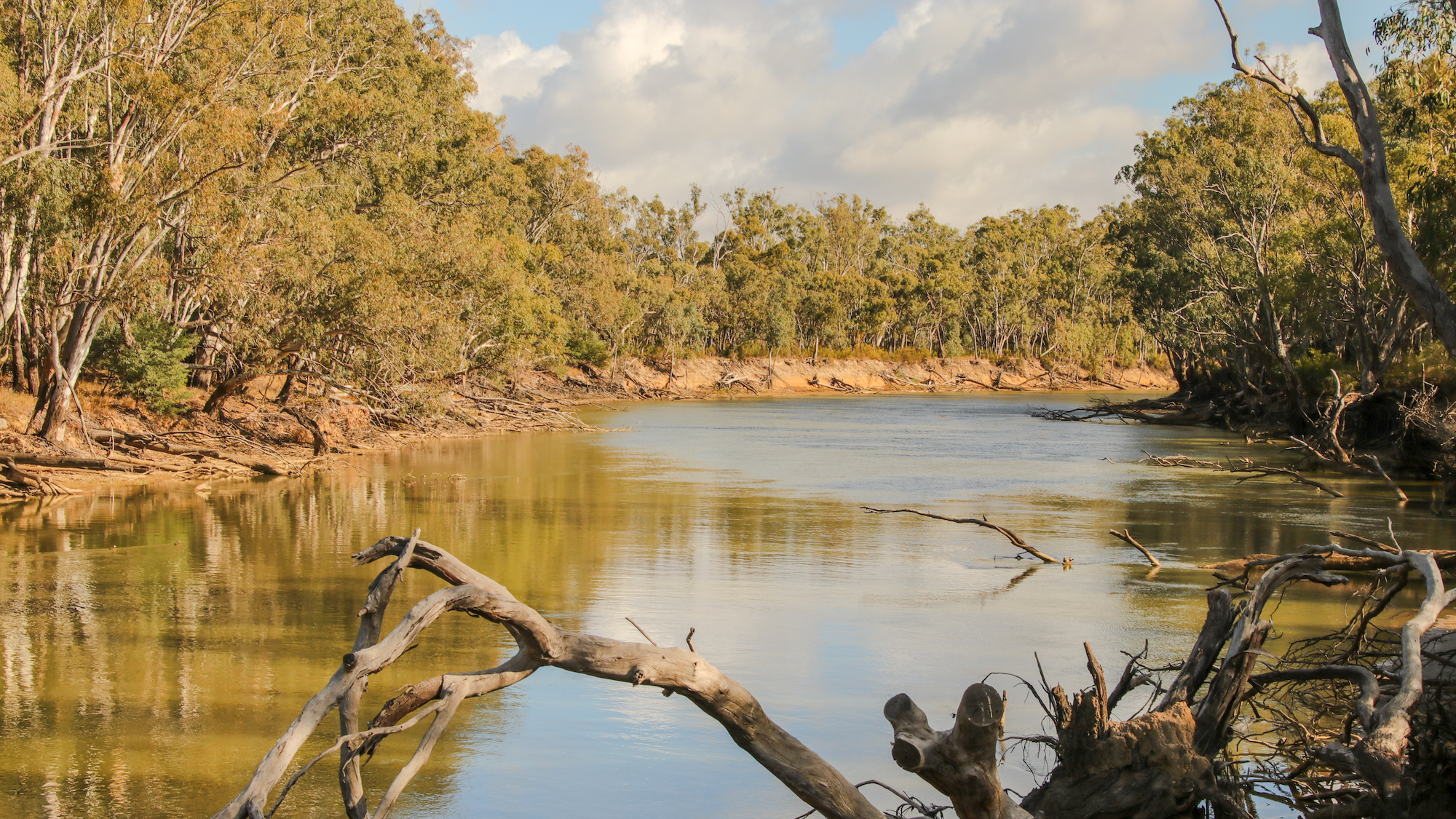 Murray River © Kelly Coleman