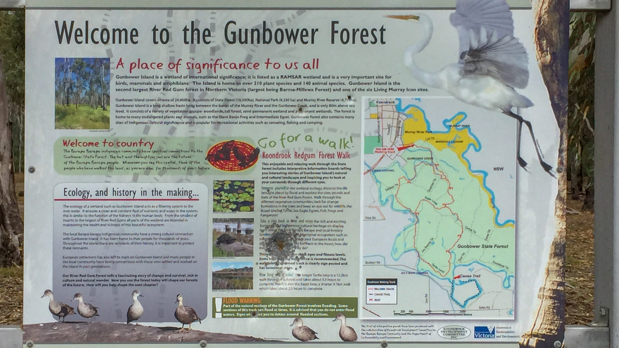 Gunbower Forest Sign © Kelly Coleman