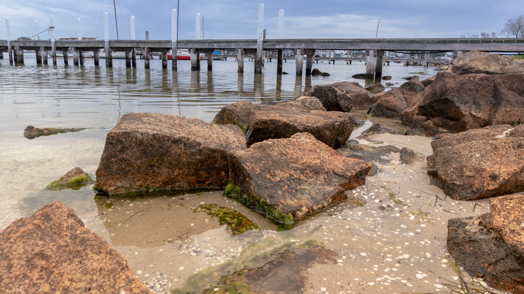 Raymond Island shore