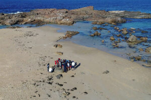 Mystery Bay Sea Country Excursion