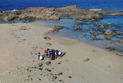 Mystery Bay Sea Country Excursion