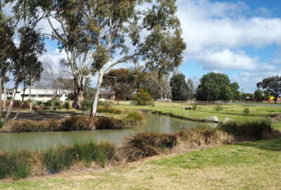 Living Lagoons - Fish Park