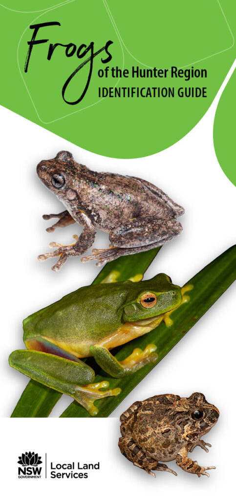 Frogs of the Hunter Region