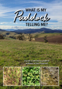 What is my paddock telling me? Cover