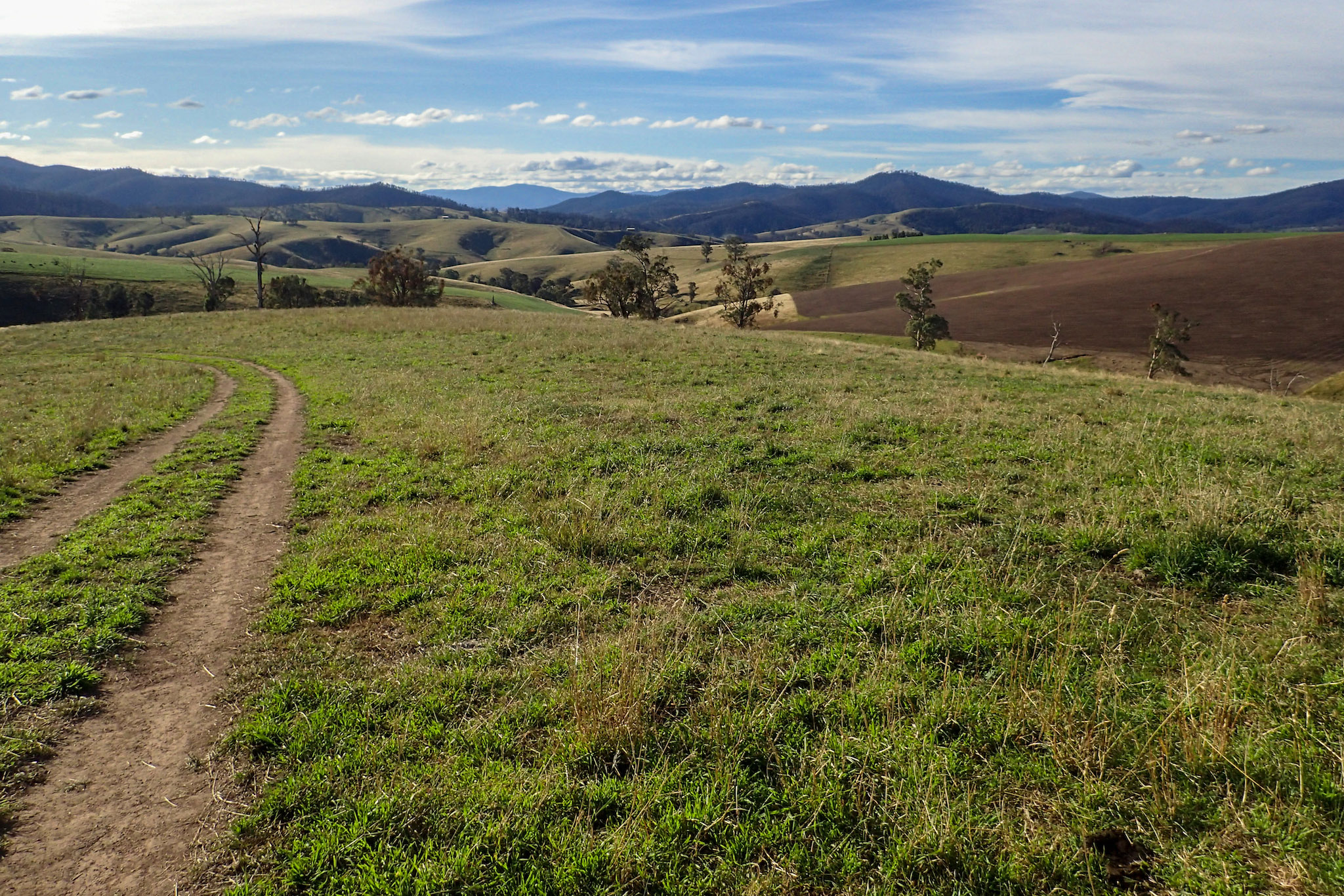 Tambo Crossing Paddock - Nat Jenkins